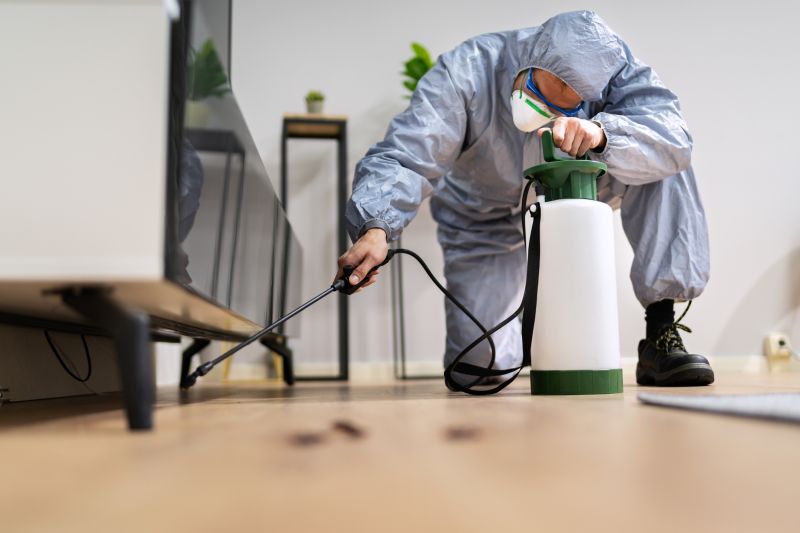 Pest Fumigation Service in Myrtle Beach, SC