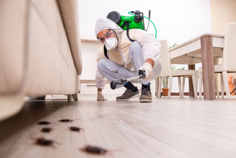 Licensed Pest Control Experts